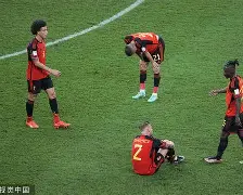 为什么比利时与瑞典的足球比赛要中断